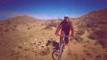 Monkey Tucson GIF by Epic Rides