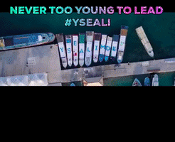 yseali youngsoutheastasianleadersinitiative GIF