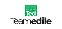 team edile Sticker