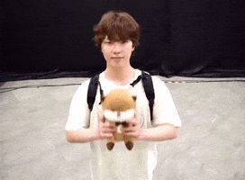 Lee Chan Dino GIF