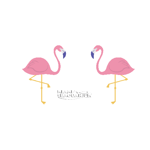 Miami Seaquarium Sticker