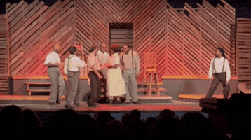Fly GIF