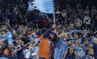 New York Nyc GIF by Major League Soccer