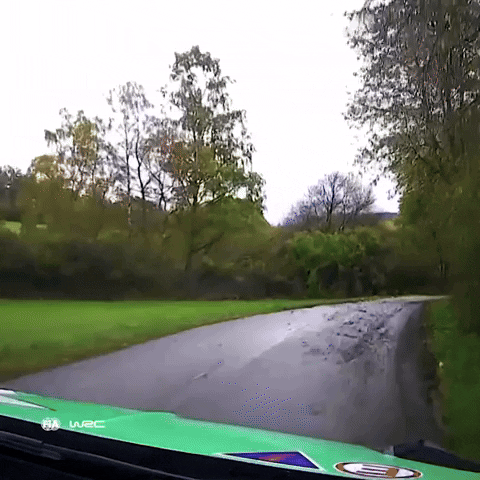 Driving Too Fast GIF by FIA World Rally Championship