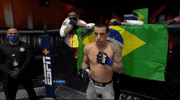 Thomas Almeida Sport GIF by UFC