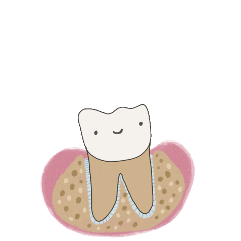 Maxilofacial Extraccion Sticker