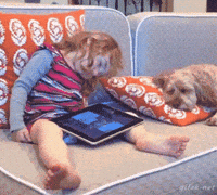 Tell Wake Up GIF Tell Wake Up GIF