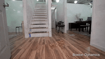 kurtschlosser spotmini GIF