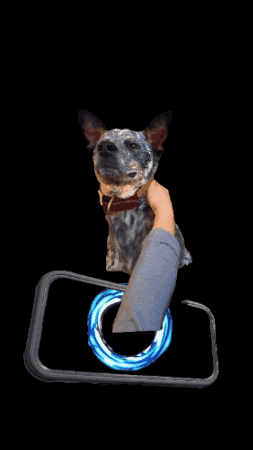Petting The Dog GIF