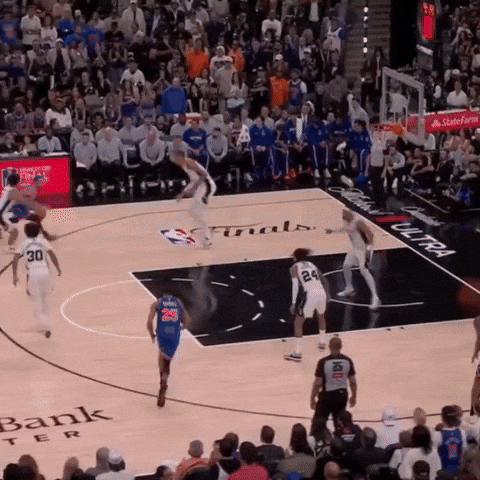 Assist New York Knicks GIF