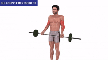 Bulksupplementsdirectcom GIF