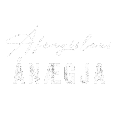 Vin Nolo Sticker by CIN CIN