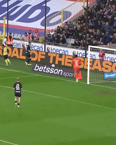 Mechele GIF by Club Brugge