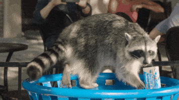 Recycle GIF