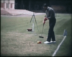 croquet GIF by Imperial College London