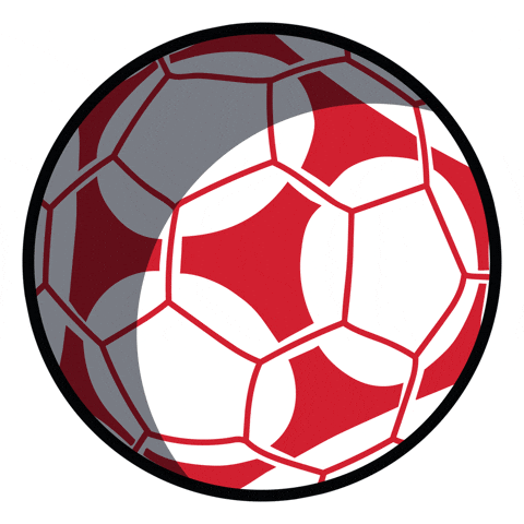 Soccer Rolling GIF by Discount Tire