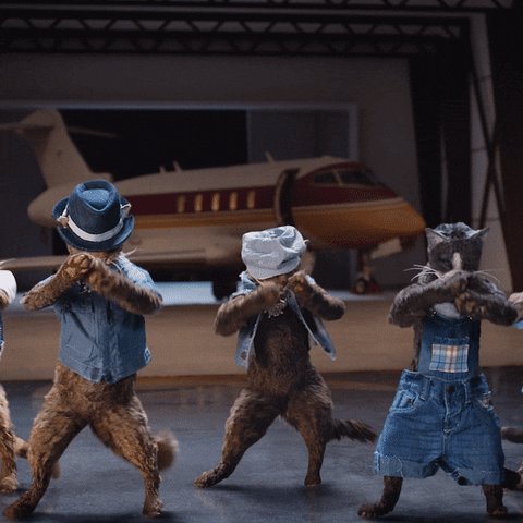 Boy Band Dancing GIF by Meow Mix