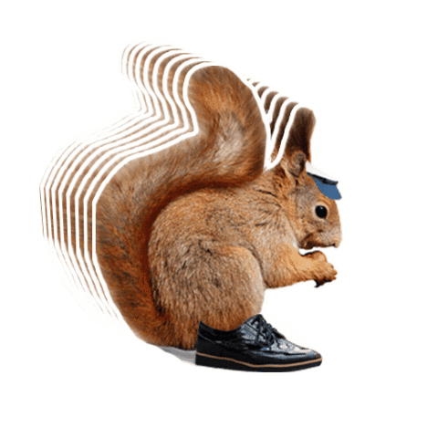 Sticker by Birch Benders