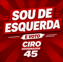 Ciro Gomes Bora GIF by Michel