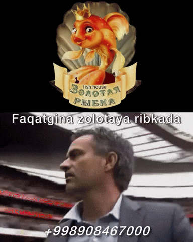 Golden Fish Cafe GIF