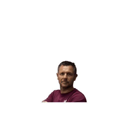 Rayfit Sticker