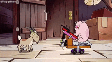 Pig GIF