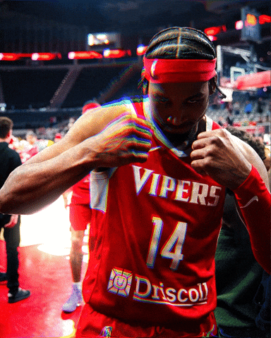 RGV Vipers GIF