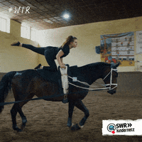 Workout Horse GIF by SWR Kindernetz