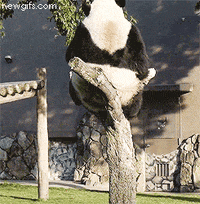 [Image: 200w.gif?cid=82a1493b1bi3ek0h22ljsdidz3h...d=200w.gif]