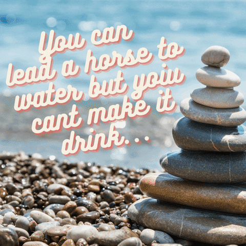You Can Lead A Horse To Water GIFs - Get the best GIF on GIPHY