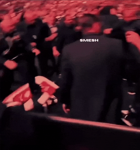 Chanko Dillondanis GIF