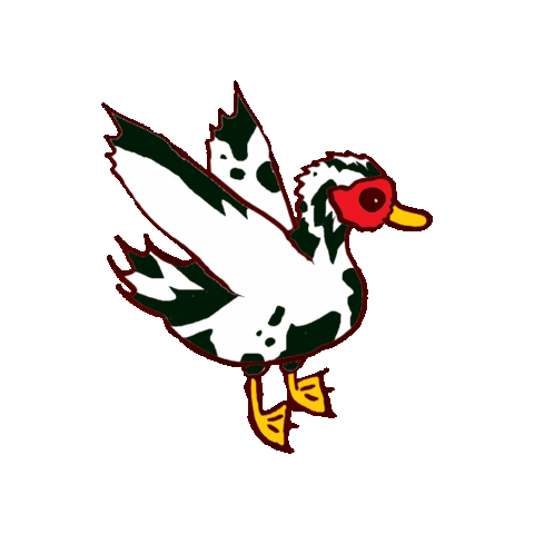 Ducks Sticker