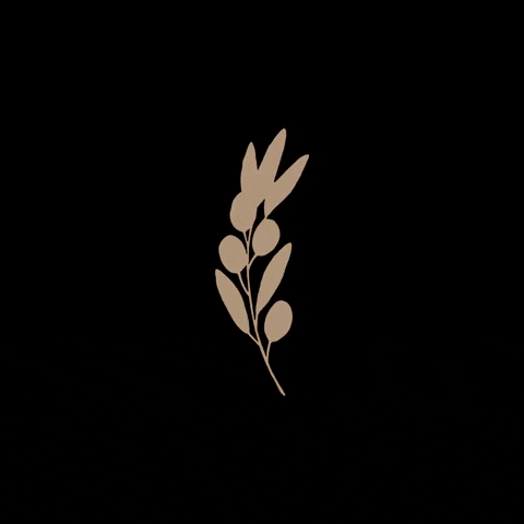 Mizo GIF