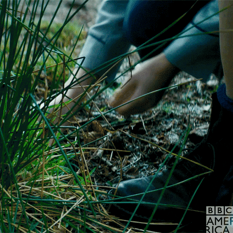 doctor who nom GIF by BBC America