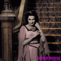 the munsters 1960s GIF by absurdnoise