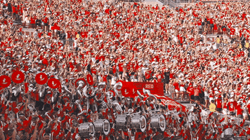 Happy Jump Around GIF by Wisconsin Badgers