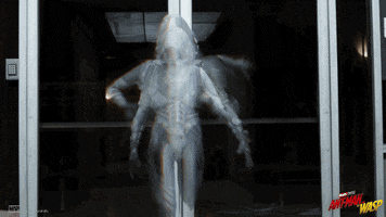 Ant Man And The Wasp Ghost GIF by Marvel Studios