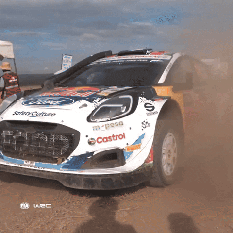 Car Damage GIF by FIA World Rally Championship