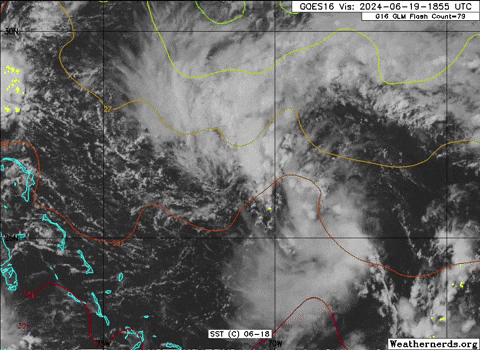 giphy.gif?cid=9b38fe9108fkxz9ecuj3h31o1c