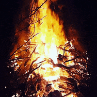 slomo bonfire GIF