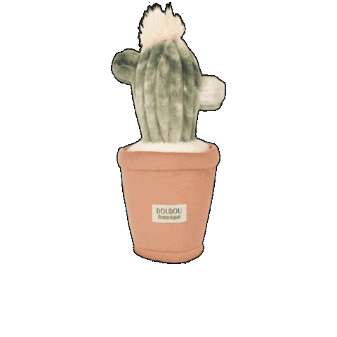 Cactus Doudou Sticker by DoudouetCompagnie