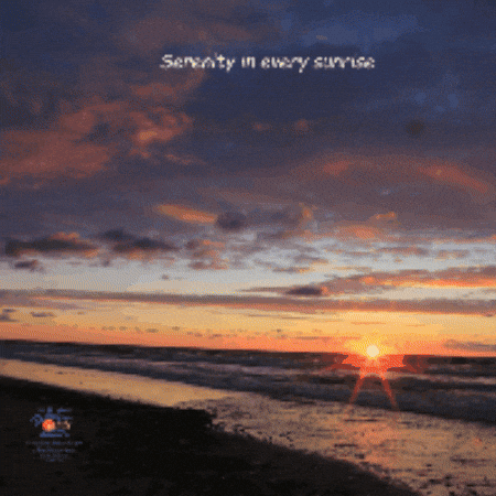 The White Sands GIF