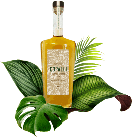 CopalliRumUS Sticker