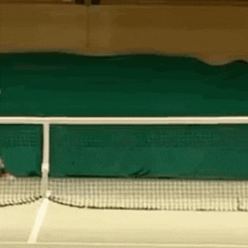 Tennis Rage GIF