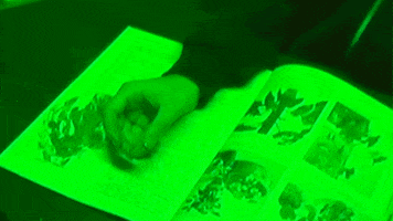 Neon Book GIF by TAELA