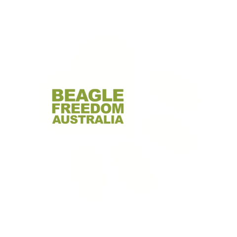 Beagle Freedom Australia Sticker