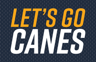 Hurricanes Canes GIF by Georgia Southwestern State University