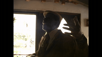 Fellove GIF
