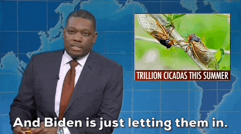 Cicadas meme gif