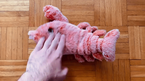 Gif Animado